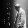 王琪玮 会呼吸的痛 试听