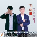飞翔的翅膀（单曲）详情
