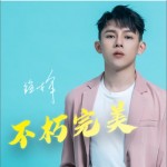 不朽完美（单曲）详情