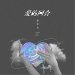 爱的回合（单曲）详情