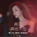 再见，再也不见（单曲）详情