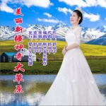 美丽新疆神奇大草原（单曲）详情