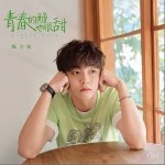 青春的酸也很甜（单曲）详情