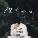 你的呼吸（单曲）详情