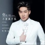 你能不能不要离开我（单曲）详情