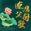 感恩父母歌（单曲）