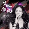 梦似狂风（单曲）