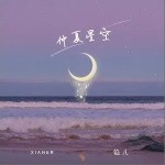 仲夏星空（单曲）详情