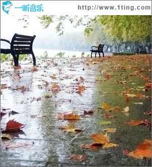 等你等了这么多年（单曲）