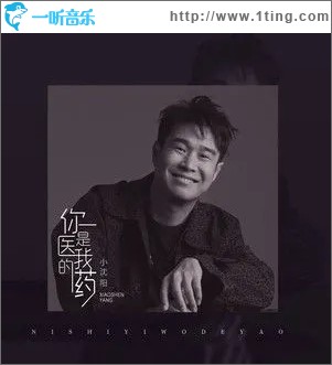 你是医我的药（单曲）