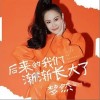 后来的我们渐渐长大了（单曲）