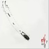 阿朵 蝉知道 试听
