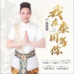 我在泰国等你（单曲）详情