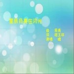 星辰月亮在闪光（单曲）详情