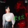 梦里花（单曲）