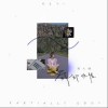 淡（单曲）