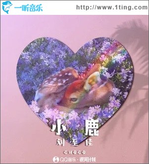 小鹿（单曲）