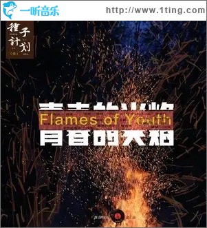 青春的火焰（单曲）