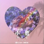 小鹿（单曲）详情