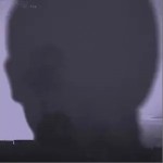 停留（单曲）详情