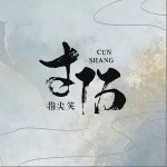 寸伤（单曲）详情