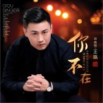 你不在（单曲）详情