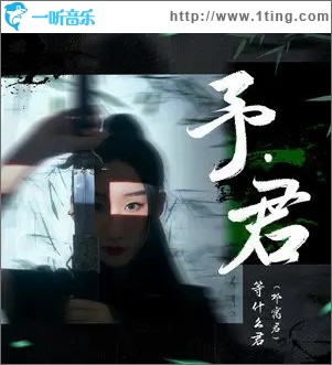 昭华情（单曲）