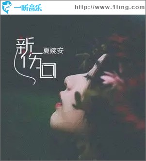 新伤口（单曲）