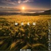抱着青稞（单曲）