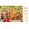 美丽的内蒙古赛拜努（单曲）