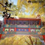 赶路人（单曲）详情