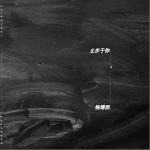 止步于你（单曲）详情