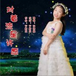 对着流星许愿（单曲）详情