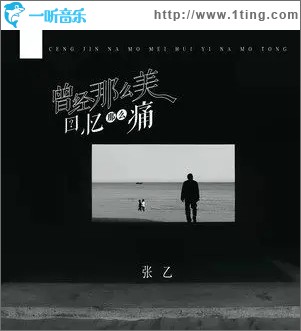 曾经那么美回忆那么痛（单曲）