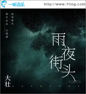 雨夜街头（单曲）