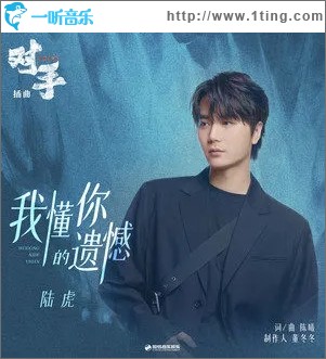 我懂你的遗憾（单曲）