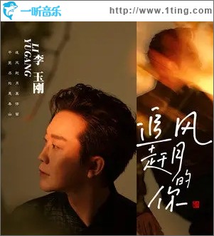 追风赶月的你（单曲）