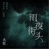 雨夜街头（单曲）