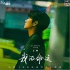 王晰 我的命运 试听