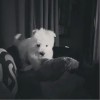 ICE 下次再见 试听