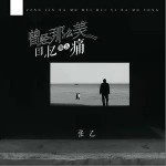 曾经那么美回忆那么痛（单曲）详情