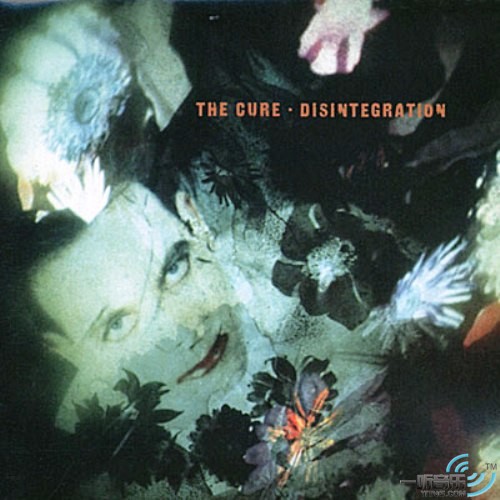 Disintegration