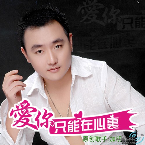 爱你只能在心里