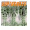 Supergrass Moving 试听