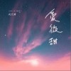 向文涛 爱微甜 试听