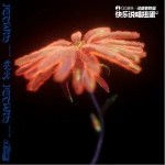 花火（单曲）详情