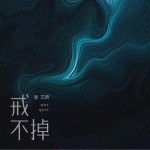 戒不掉 （单曲）详情