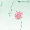 若风起时（单曲）