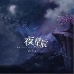 夜星辰（单曲）详情