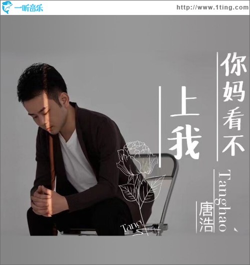 你妈看不上我（单曲）